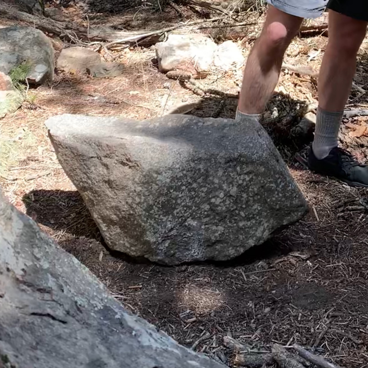 Bear Tooth Stone
