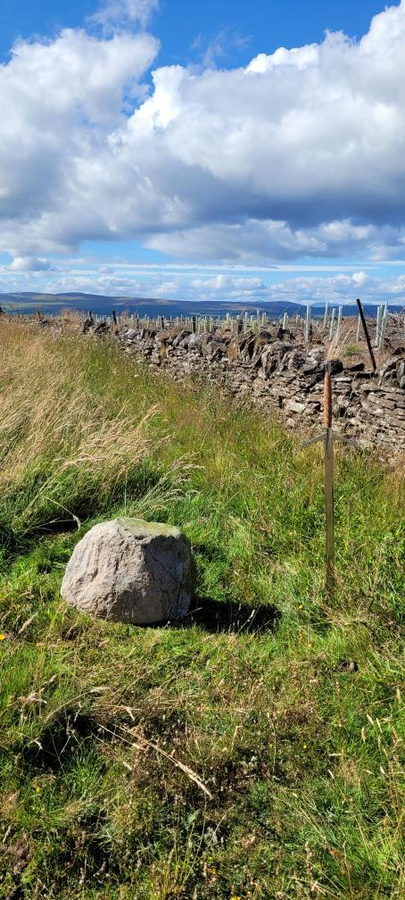 Clan Macrae Stone