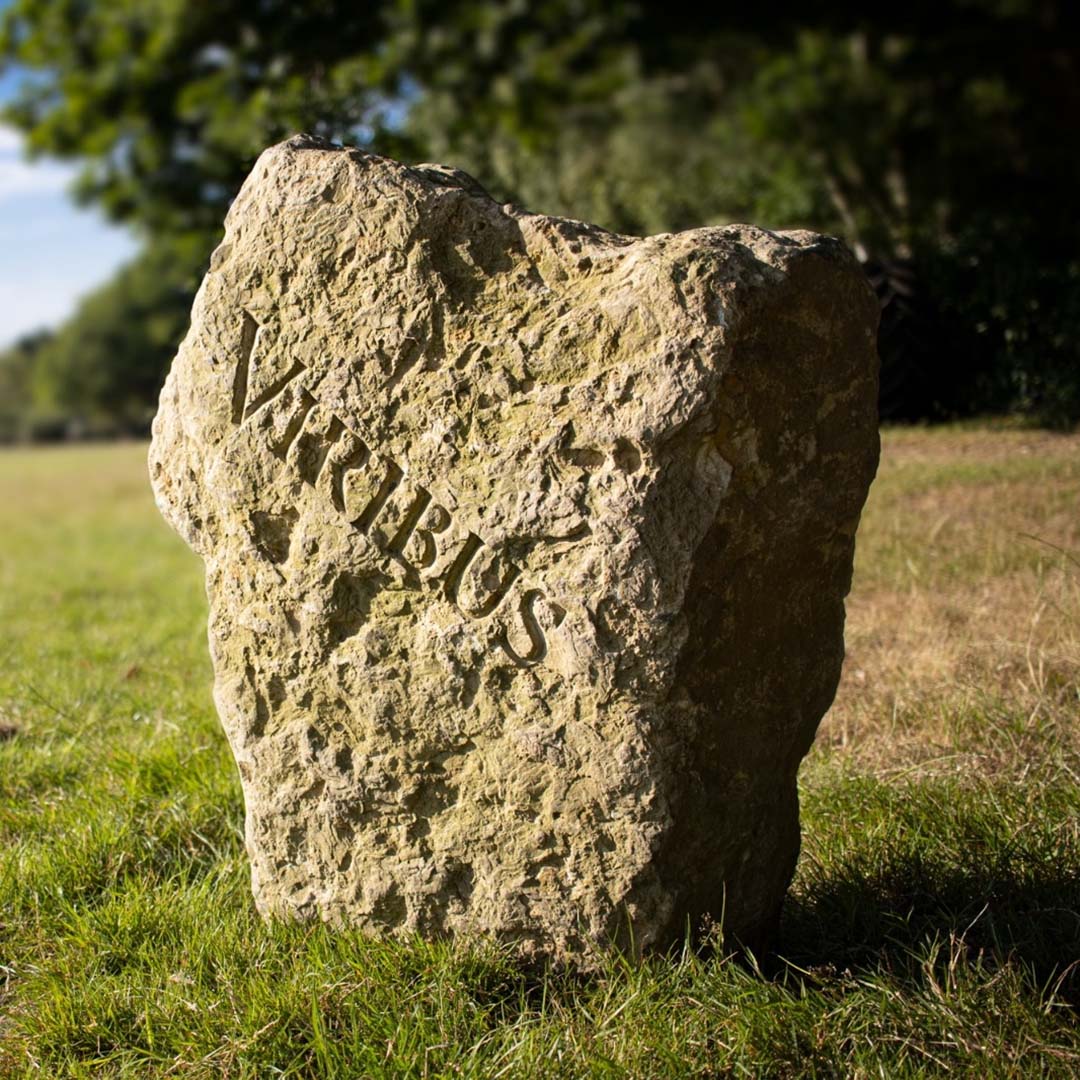 Viribus stone