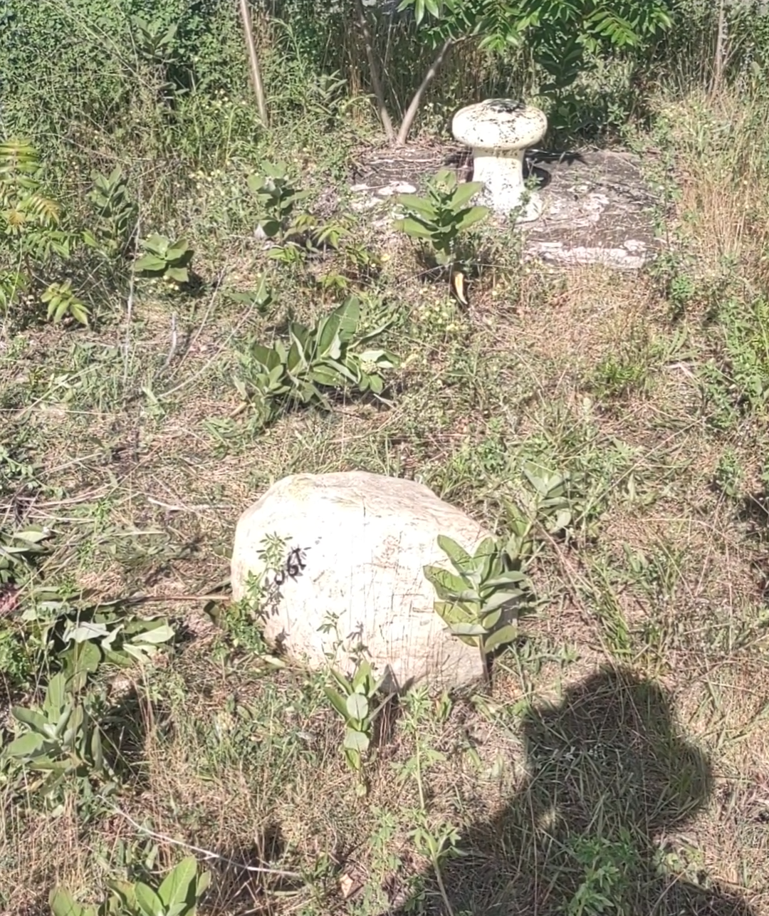 The Canal Stone