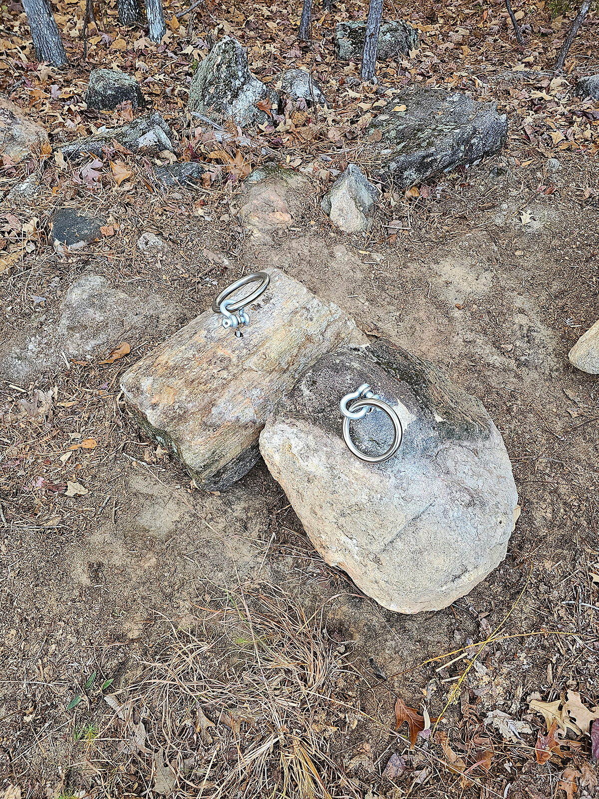 The Reeves\' Stone Small