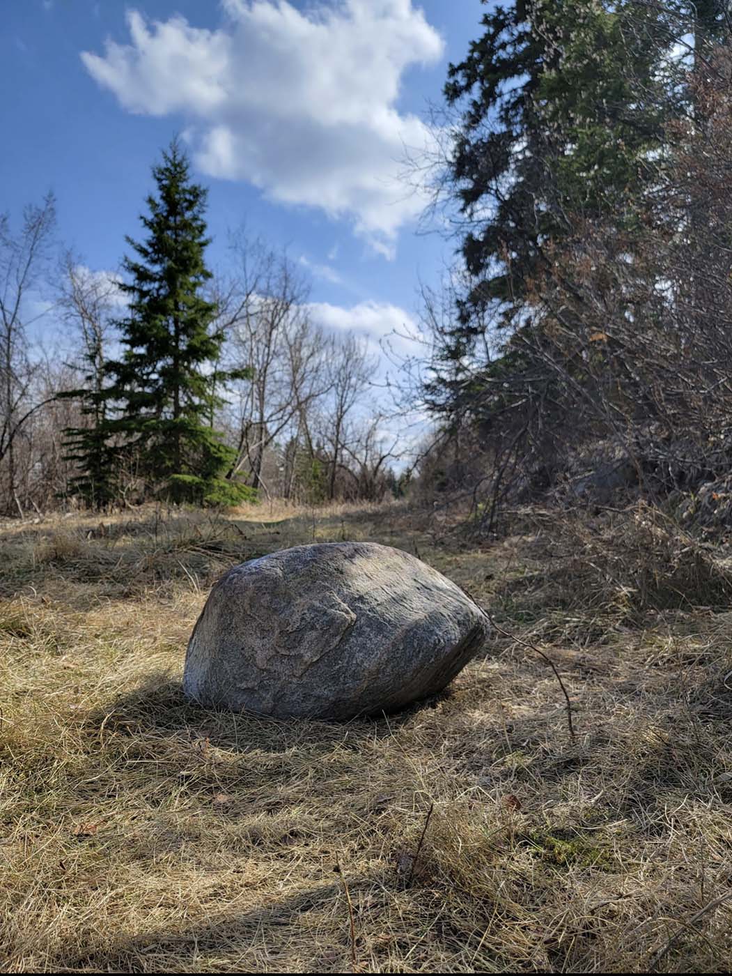 The Shaw Stone