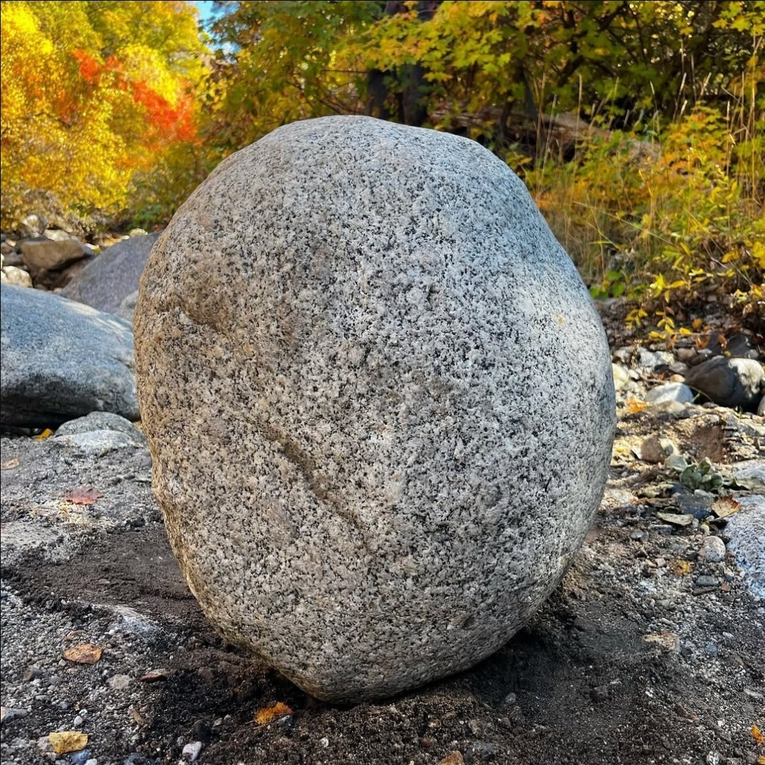 Dragon Egg