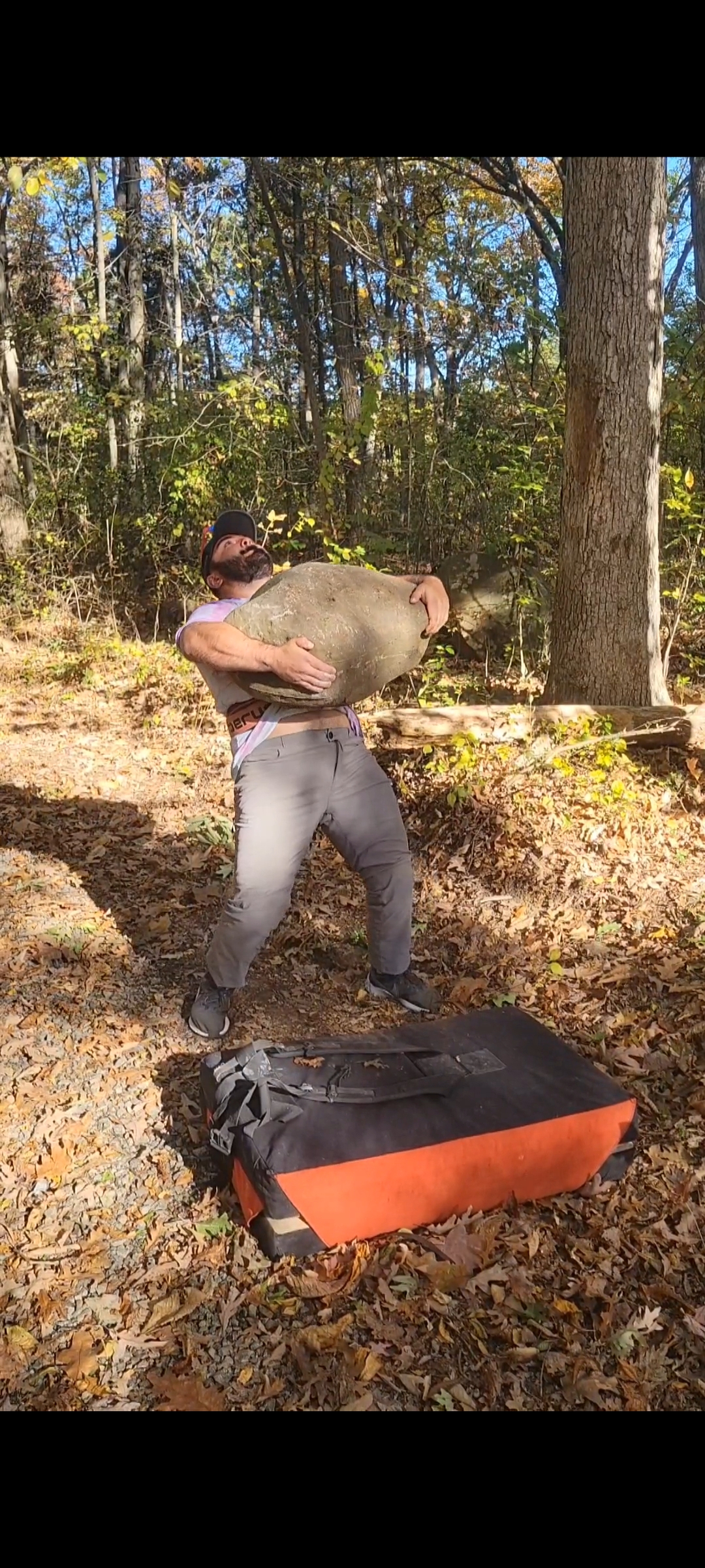 Bull Moose Stone